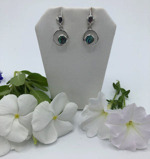 Beautiful Abalone earrings
