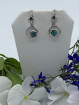 Beautiful Abalone earrings